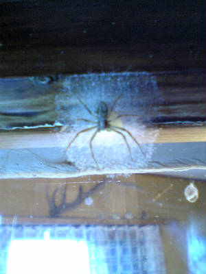 picture00713.jpg